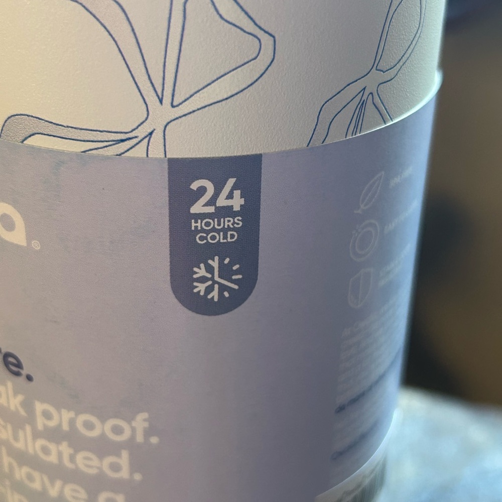 Push Button Insulated Water Bottle (Owala)